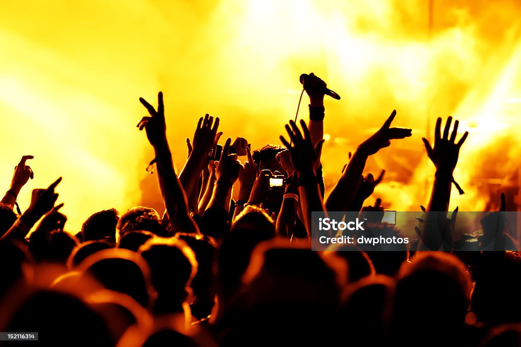 Multidão de concerto - Royalty-free Festival de Música Foto de stock