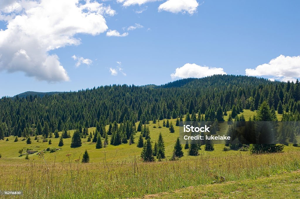 Paisaje - Foto de stock de Aire libre libre de derechos