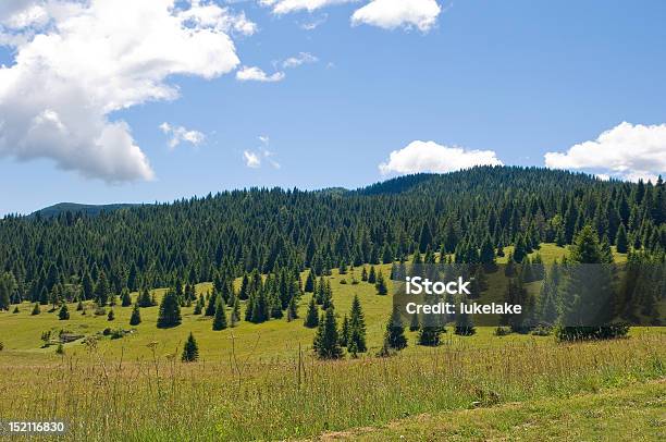 Photo libre de droit de Paysage banque d'images et plus d'images libres de droit de Arbre - Arbre, Bleu, Ciel