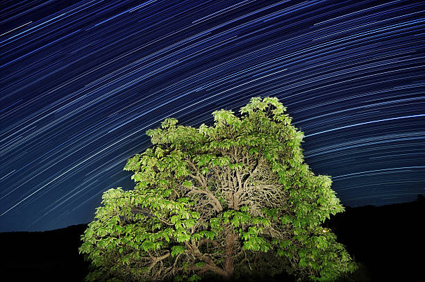 Sentieri di stelle - foto stock