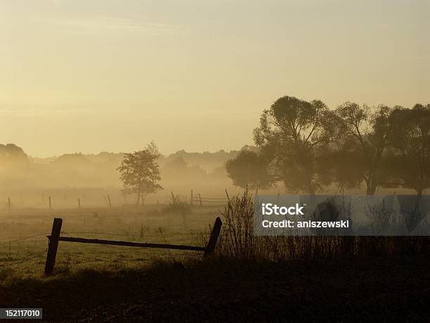 Paesaggio Rurale Allalba - Fotografie stock e altre immagini di Agricoltura - Agricoltura, Alba - Crepuscolo, Albero