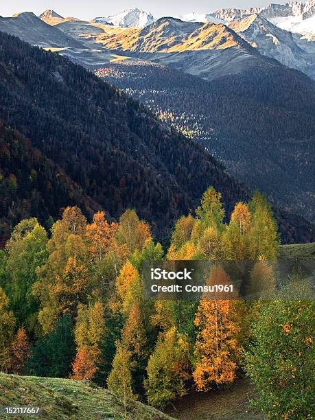 Otoño En El Valle Foto de stock y más banco de imágenes de Valle - Valle, Valle de Arán, Abedul