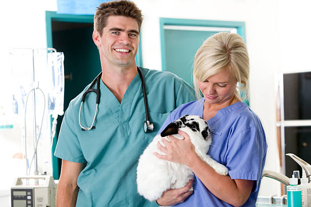 istock Small Animal Vet Clinic 152118003