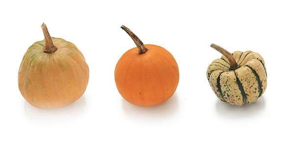 three pumpkins stock photo