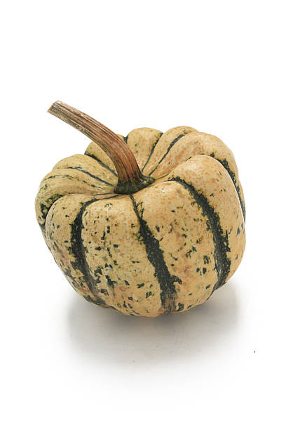 pumpkin stock photo