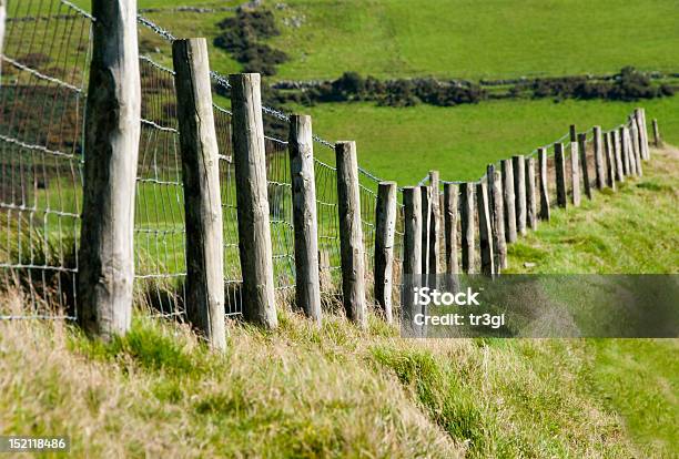 Wodden Posts Mit Metalldraht Zaun In Rind Field Stockfoto und mehr Bilder von Hecke - Hecke, Pfosten, Agrarbetrieb