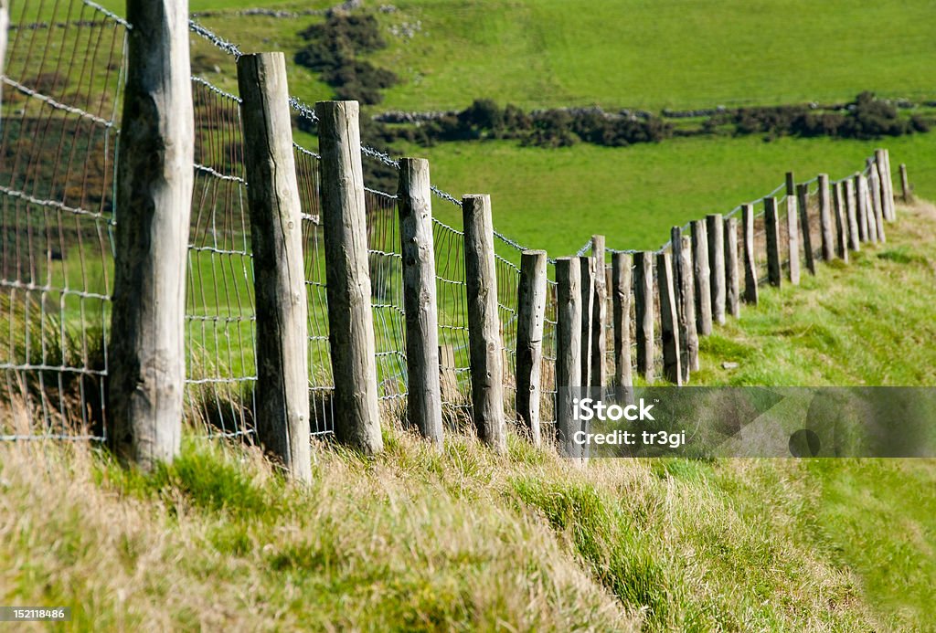 Wodden Postes con hilo de Metal valla en el campo cabezas de ganado - Foto de stock de Poste de madera libre de derechos