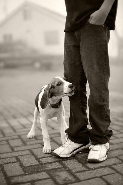 Together stock photo