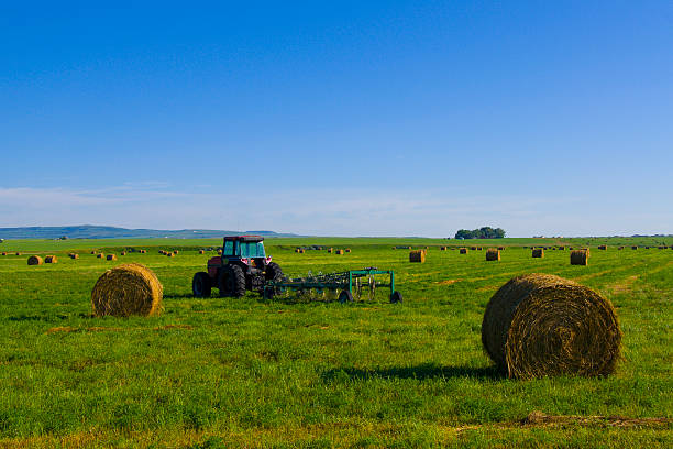 trator em canadian prairie - grass area field hill prairie - fotografias e filmes do acervo