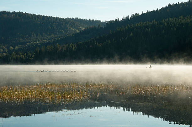 istock Morning rower on the lake 152119369