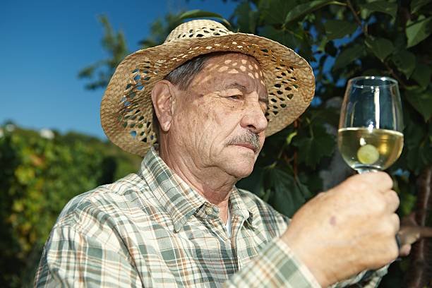 istock Senior winemaker with glass of wine 152120123