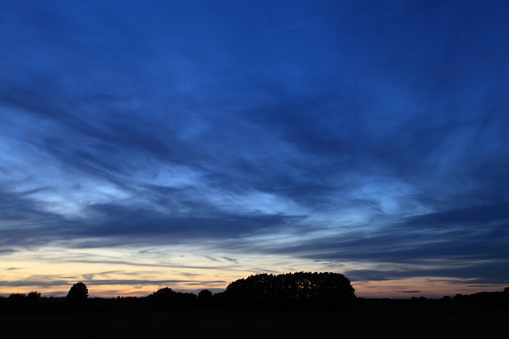 Night sky just after sunset with trees in sillhouette on the flat horizon