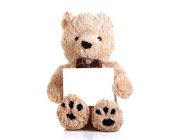 istock Light brown teddy bear holding a blank white sign on white 152120351