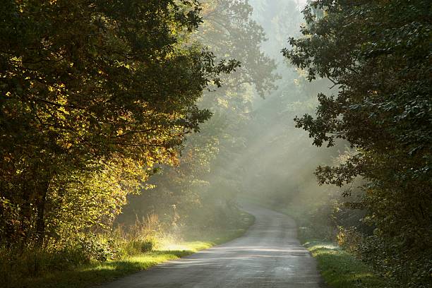 istock Picturesque rural road at dawn 152121270