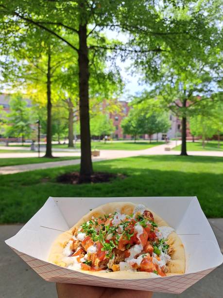 istock Chicken gyros on Pita bread 1521213796
