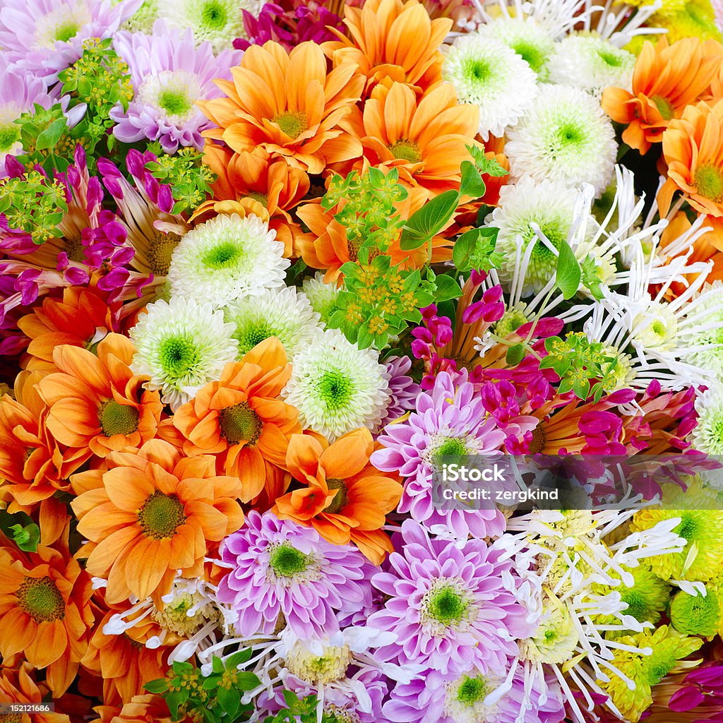 Flores - Royalty-free Abundância Foto de stock