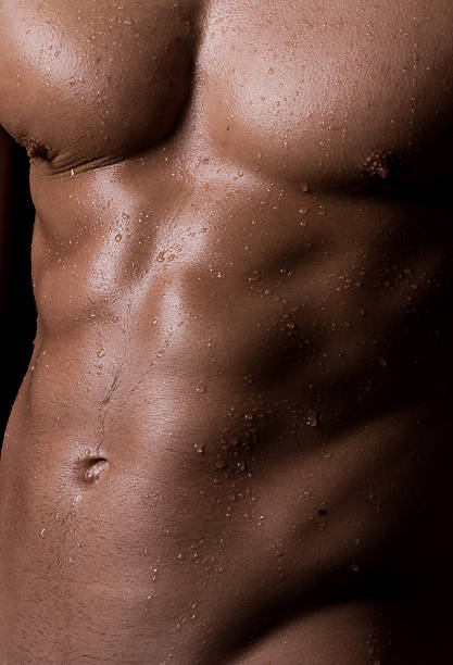 Muscular male torso stock photo