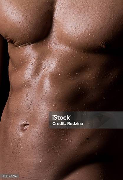 Macho Muscular Do Tronco - Fotografias de stock e mais imagens de 25-29 Anos - 25-29 Anos, Abdómen, Abdómen Humano