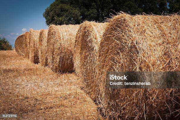 Tuscany Countryside Stock Photo - Download Image Now - Agricultural Occupation, Agriculture, Bale