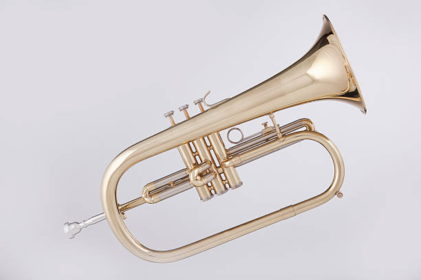 istock Flugalhorn or Flugelhorn Isolated on White 152123129