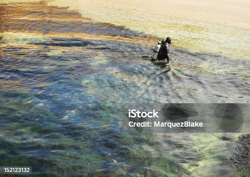 istock scuba diver in shallow waters 152123132