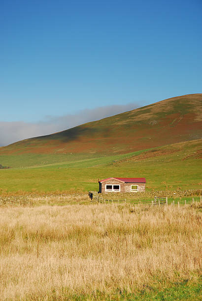 campo rural - lanarkshire imagens e fotografias de stock