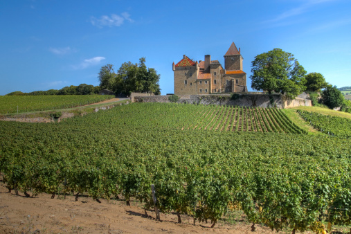 Chateau de Pierreclos is one of the most imposing castles in the vineyards from Burgundy, France. It is located in the south of the region, close to the city of Macon. Most of the castle features are dating  from the 12 century.