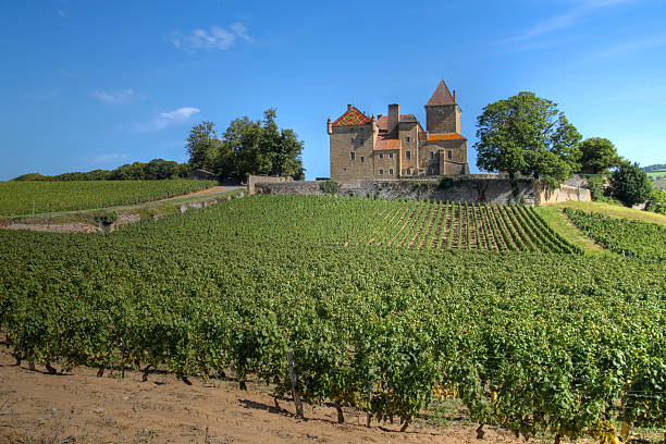 chateau de pierreclos, бордовый, франция - macon стоковые фото и изображения