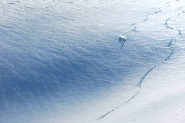 Skier riding down the slope Backcountry skier riding down the huge snowfield splashing powder snow. powder mountain stock pictures, royalty-free photos & images