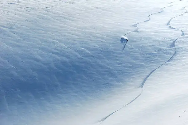 Backcountry skier riding down the huge snowfield splashing powder snow.