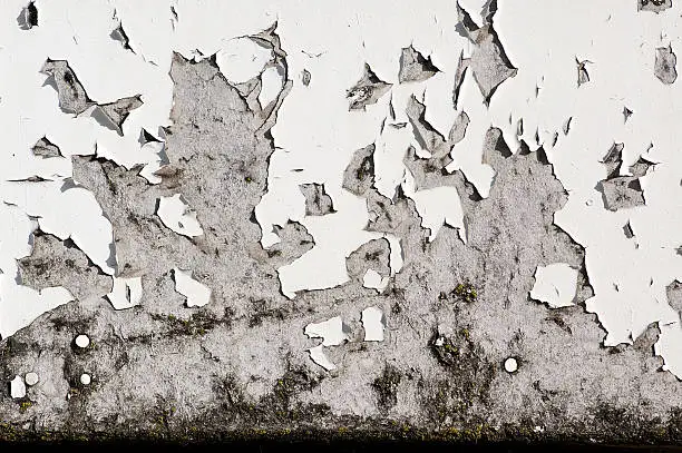 White paint peeling off of decaying concrete with moss.