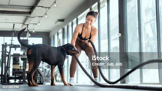 istock Asian Women Exercising Rope and Happy Puppy in the Gym 1521261298