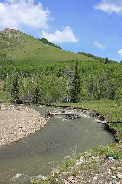 Creek stock photo