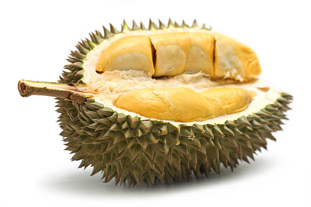 istock Durian, a very foul smelling fruit, isolated on white 152126503
