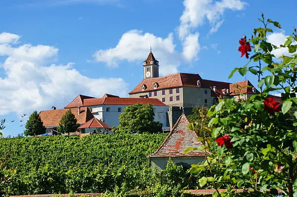 Castle Riegersburg with vineyard in foreground-Styria,Austria.