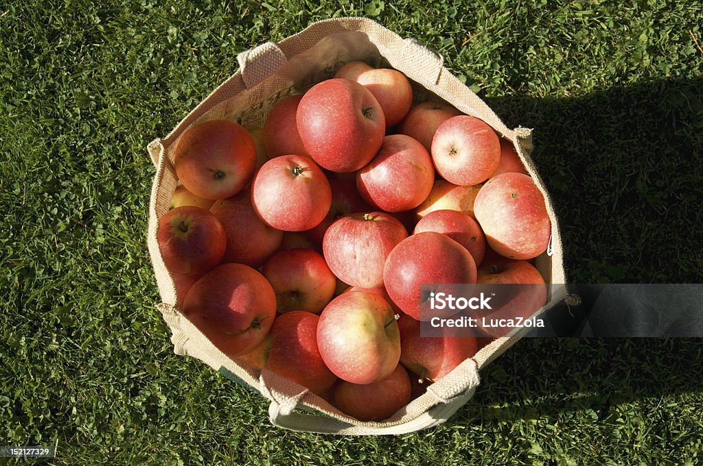 Belleza de manzanas en pequeñas saco de baño - Foto de stock de Manzana libre de derechos