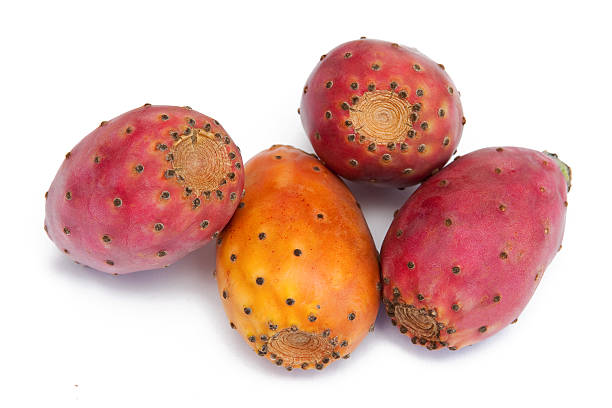 カクタスフルーツ - prickly pear fruit cactus prickly pear cactus yellow ストックフォトと画像