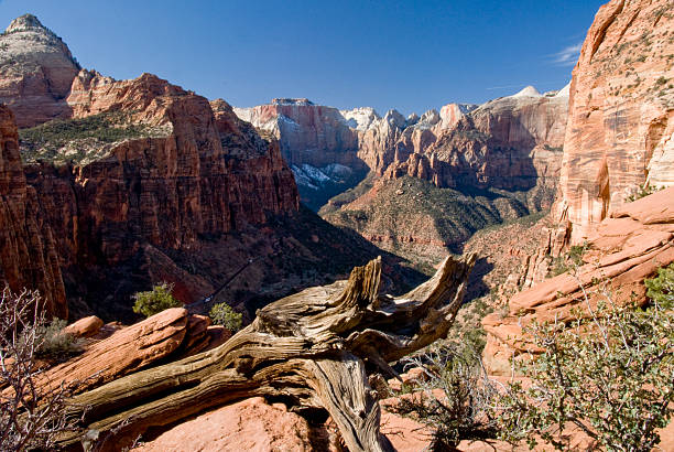 istock Zion National Park, Utah 152127587
