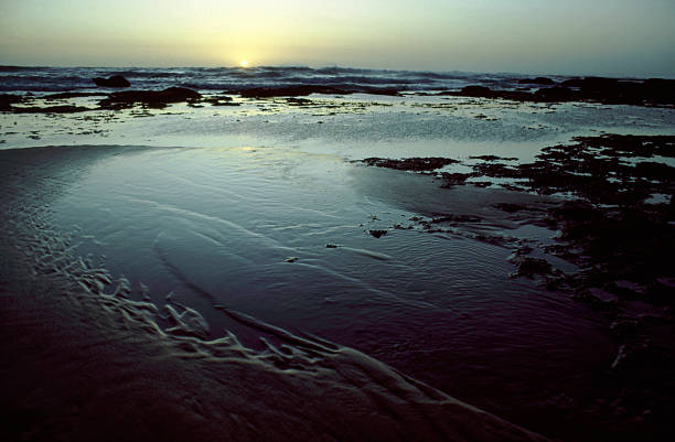 Beach Sunset stock photo