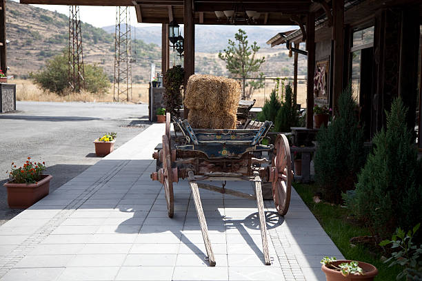 wheelbarrow & hay stock photo