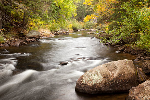 Los colores del otoño y al río - foto de stock