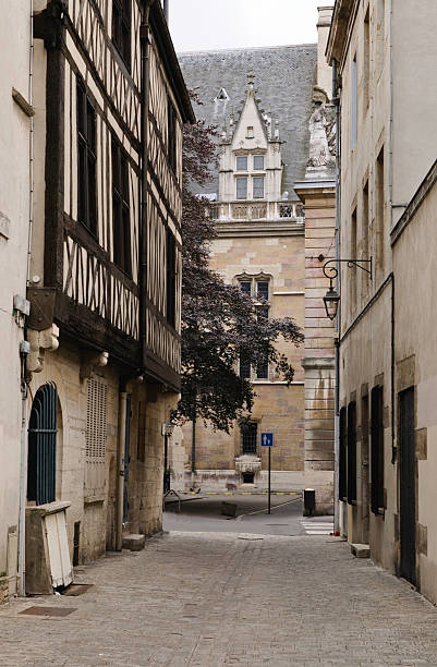 istock Lone Tree on a Street in Old Dijon 152130068