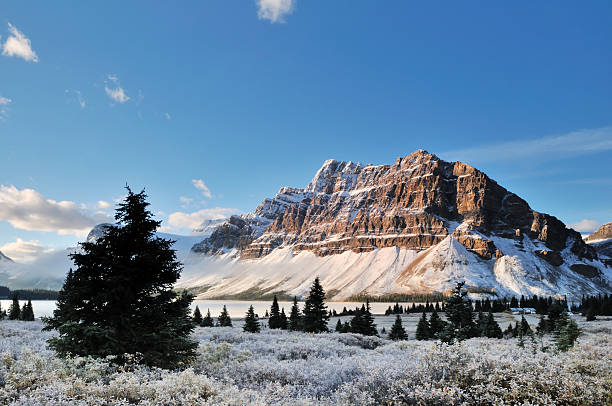 lago bow alba, parco nazionale di banff - bow lake foto e immagini stock