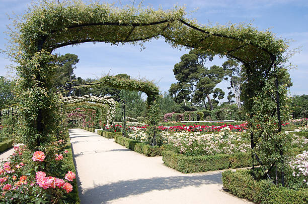 istock Rose arch entrance on iron frame 152131324