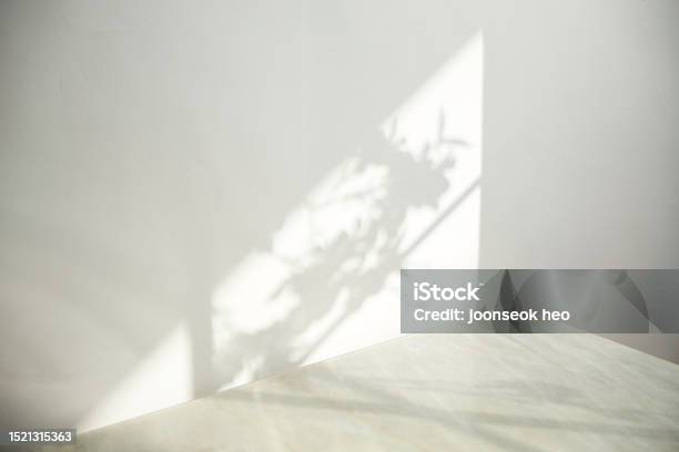 A Room With Various Objects Such As Warm Sunlight Shadows Of Grass Leaves A Vase On A Table And Cups Stock Photo - Download Image Now