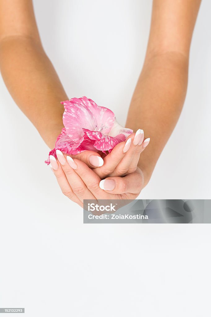 French manucure et rose fleur - Photo de Adolescent libre de droits