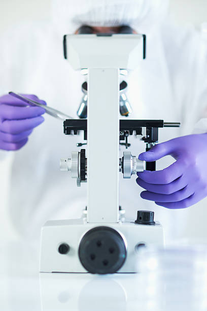 Forensic scientist examined evidence under microscope stock photo