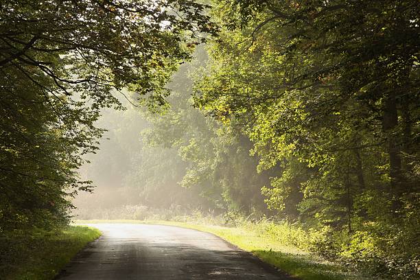 istock Misty rural road at dawn 152132580