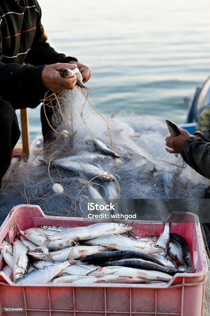 Distância - Royalty-free Pescador - Papel humano Foto de stock