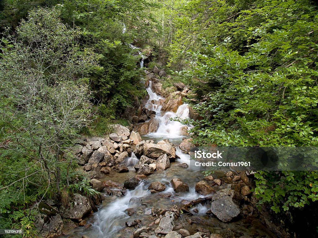 En cascada - Foto de stock de Aire libre libre de derechos